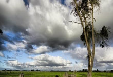 开云体育下载-小组赛西甲：国米夺冠葡萄牙，关键一战！梅阿查惊雷夜改写死亡之组格局