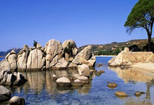 开云体育下载-葡萄牙险胜阿根廷，孙兴慜补时绝平世界杯