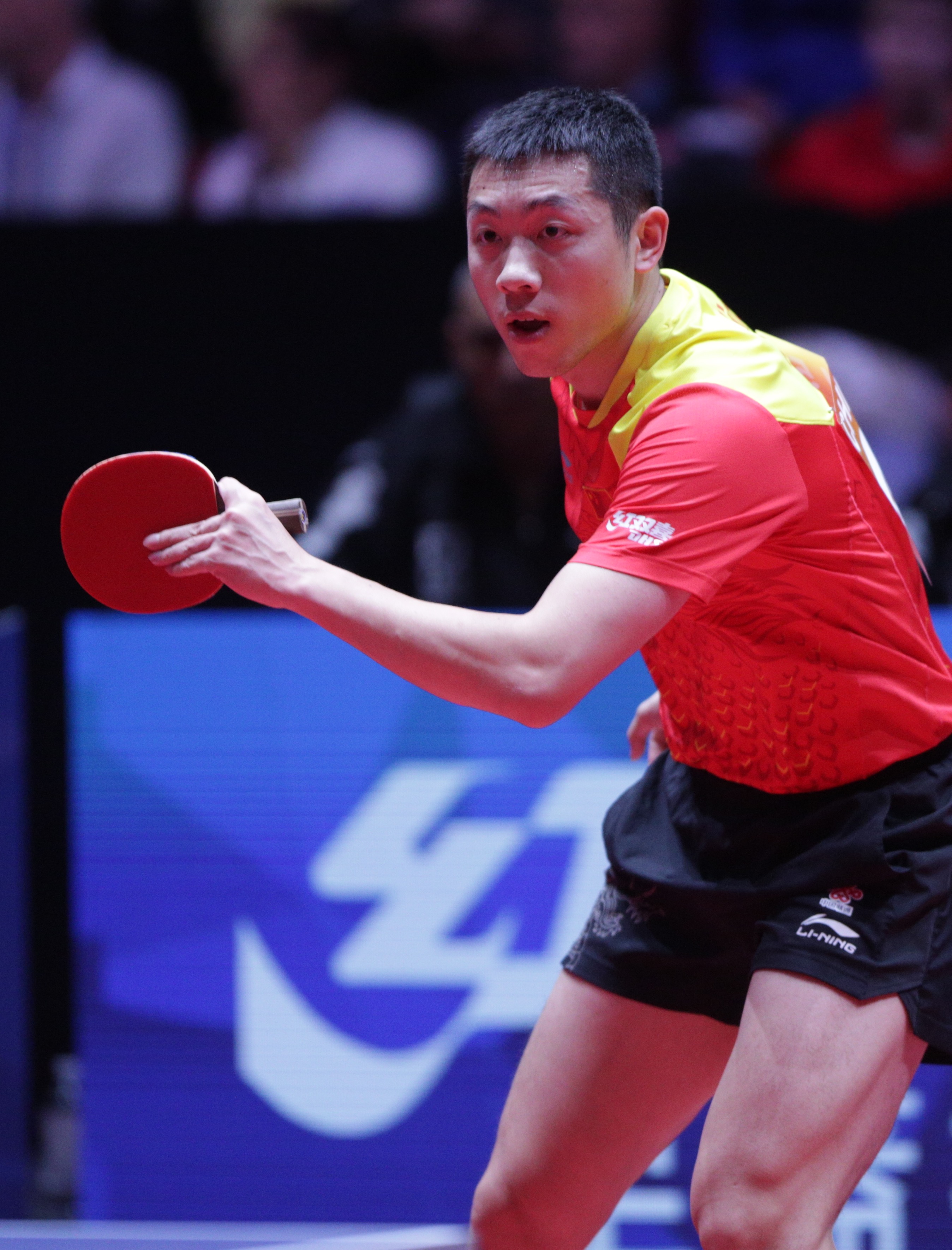 日本乒乓球队绝地反击法国乒乓球队，许昕惊艳世界的简单介绍